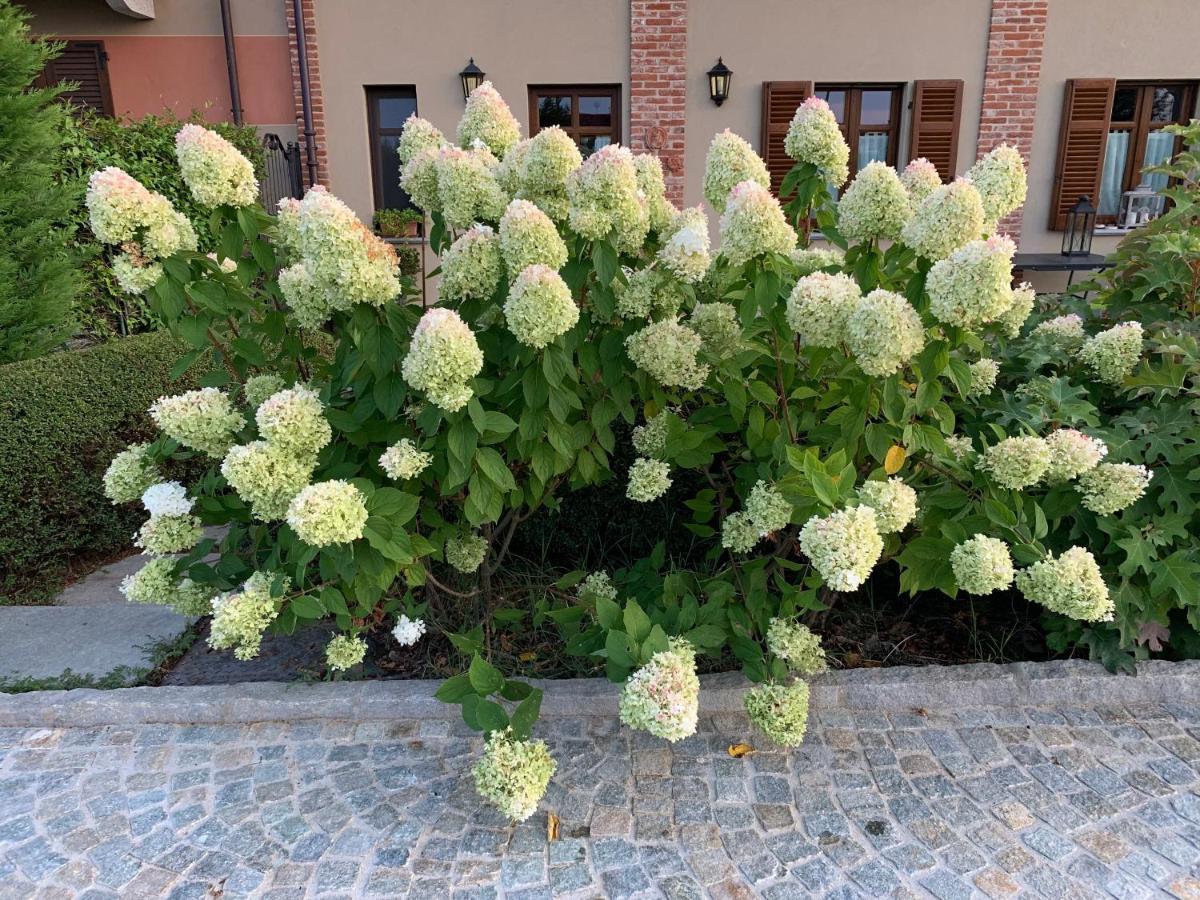 Agriturismo Sarmore Salmore Exterior photo